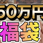 【開封動画】2023年 ワンピースカード 50万円分福袋